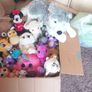 plushies full box nr2 Image 2