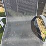 Free garden chairs Image 4