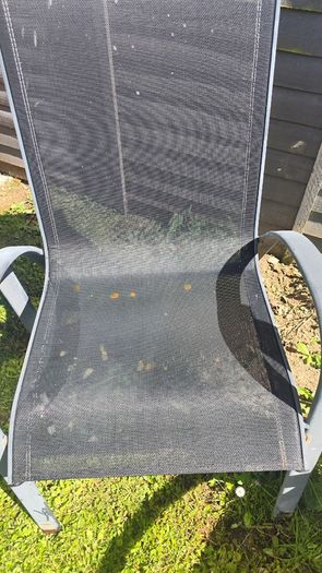 Free garden chairs