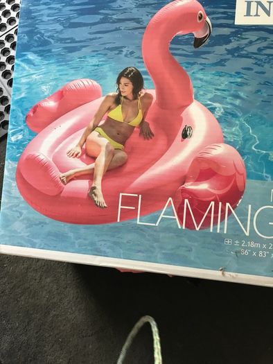 pool toy
