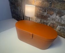 Dyson case