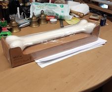 Bone shaped door  /drawer handle