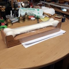 Bone shaped door  /drawer handle