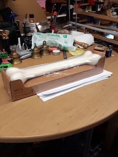 Bone shaped door  /drawer handle