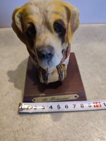 Lovely St. Bernard resin head figurine hand painted.