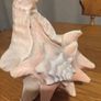 Conch Shell Image 2