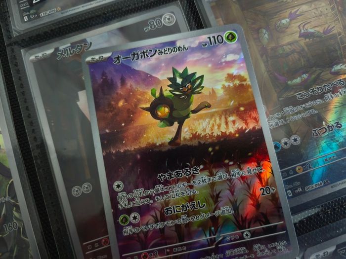 Teal Mask Ogerpon !  Scarlet & Violet Promo ! 2024 ! Japaense Pokemon Card !