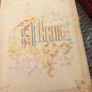 1880s album for photography, antique, D18 post 8e Image 4