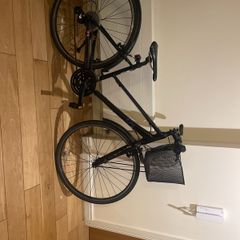 liv alight bike