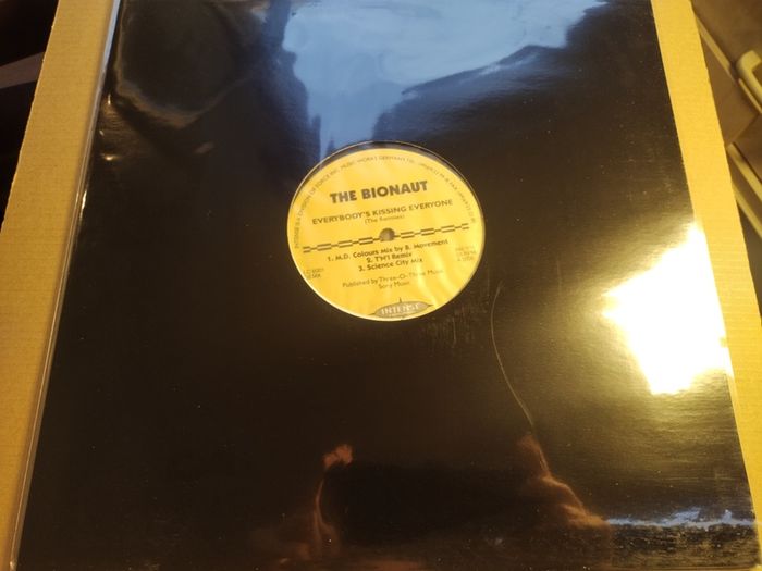 The Bionaut - Everybody's Kissing Everyone - Super Scarce Piano House Rarity!