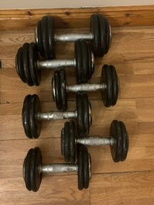 Professional dumbbell set