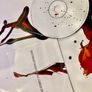 Manic Street Preachers - Lifeblood (First Press / Limited Edition) Image 7