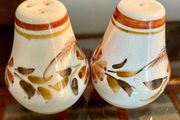 Vintage Set Hand Painted Ceramic Salt &amp; Pepper Shakers Mid Century