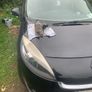 Renault scenic wiper motor Image 6