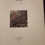 Wood. By Andy Goldsworthy. First Edition Very Large Hardback With Dustjacket In Good Condition   See Photos For Same Image 4