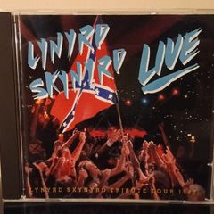Lynyrd Skynyrd Southern by the Grace of God