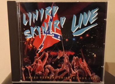 Lynyrd Skynyrd Southern by the Grace of God