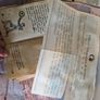 Indiana Jones Cosplay Diary Prop Image 4