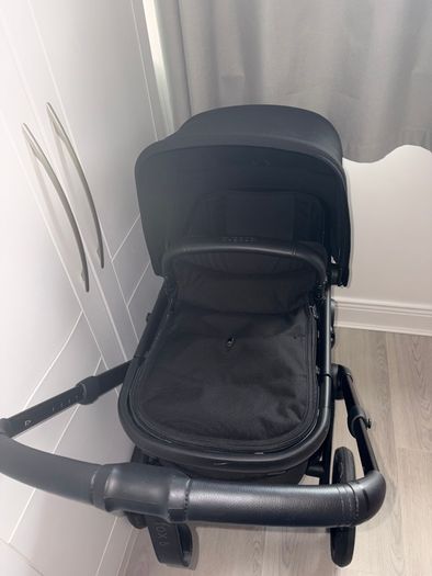 Black bugaboo renew