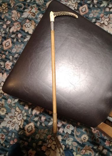 Horse   Cane