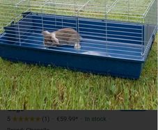rabbit cage