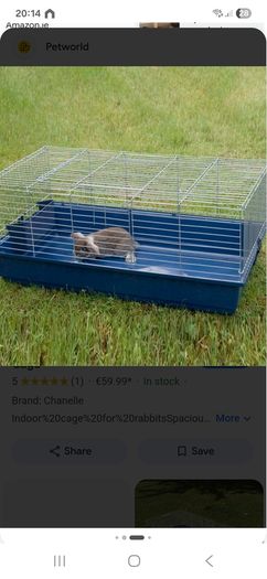 rabbit cage