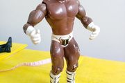 Booker T action Figure