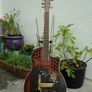 Leewald 12 fret wood resonator guitar Image 6