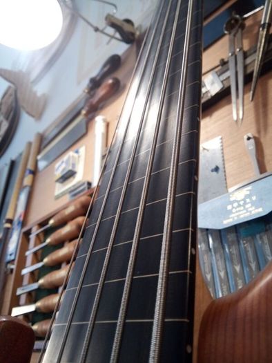 MTD Fretless Bass