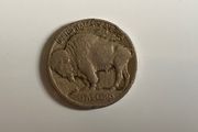 US Buffalo 5 Cents Coin (1913)