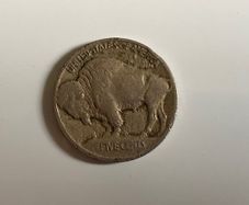 US Buffalo 5 Cents Coin (1913)