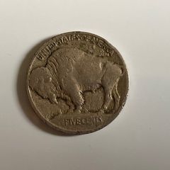 US Buffalo 5 Cents Coin (1913)