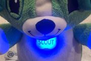 My Pal Scout Interactive Puppy (6-36 months) - Like New!