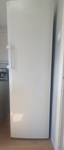 Liebherr Tall Freestanding Larder Fridge 390L