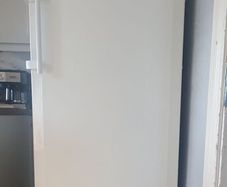 Liebherr Tall Freestanding Larder Fridge 390L