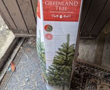 Christmas Tree