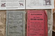 Catalogues Of The 10th &amp; 11th Irish Kennel Club Shows 1931-32. Plus To Stud Cards For Dogs. Paperbacks In Only Fair Condition.  See Photos For Same.