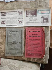 Catalogues Of The 10th & 11th Irish Kennel Club Shows 1931-32. Plus To Stud Cards For Dogs. Paperbacks In Only Fair Condition.  See Photos For Same.