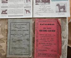 Catalogues Of The 10th & 11th Irish Kennel Club Shows 1931-32. Plus To Stud Cards For Dogs. Paperbacks In Only Fair Condition.  See Photos For Same.