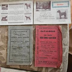 Catalogues Of The 10th & 11th Irish Kennel Club Shows 1931-32. Plus To Stud Cards For Dogs. Paperbacks In Only Fair Condition.  See Photos For Same.