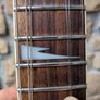 Ibanez S320DX Image 4