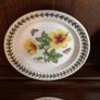 4 Portmerrion Botanical Gardens 8" Side Plates Image 3