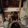 cat scratcher TV shape Image 3