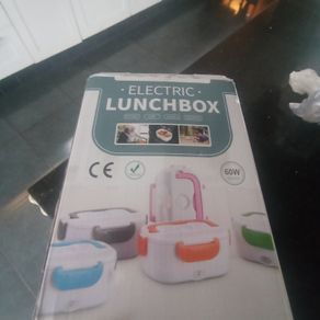 Electric lunch box