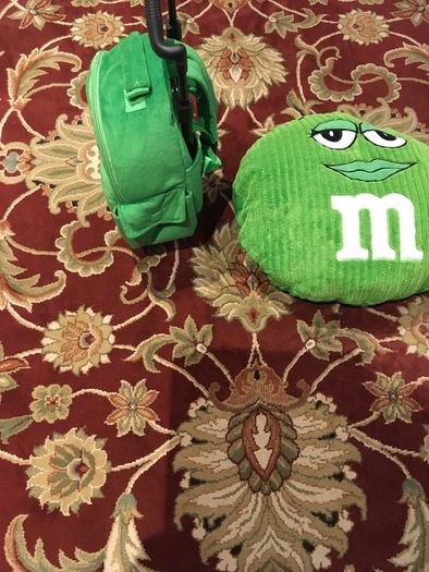 M&M Backpack + Cushion