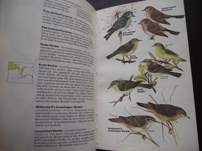 1987 "Field Guide To The Birds Of North America - National Geographic Society"