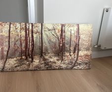 painting (forest)