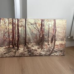 painting (forest)