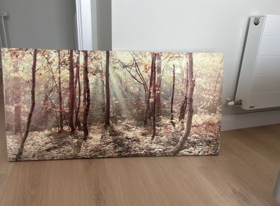 painting (forest)