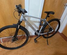 Trek Dual Sport 3